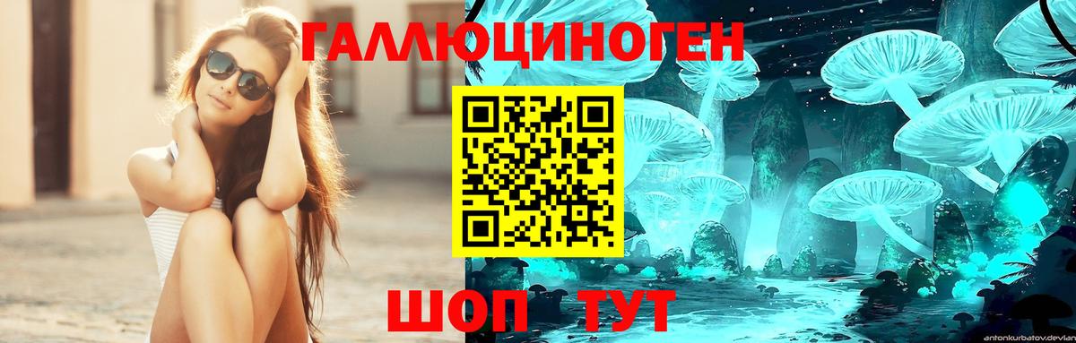 магазин    Псилоцибиновые грибы Psilocybine cubensis  Вход с VPN  Санкт-Петербург 